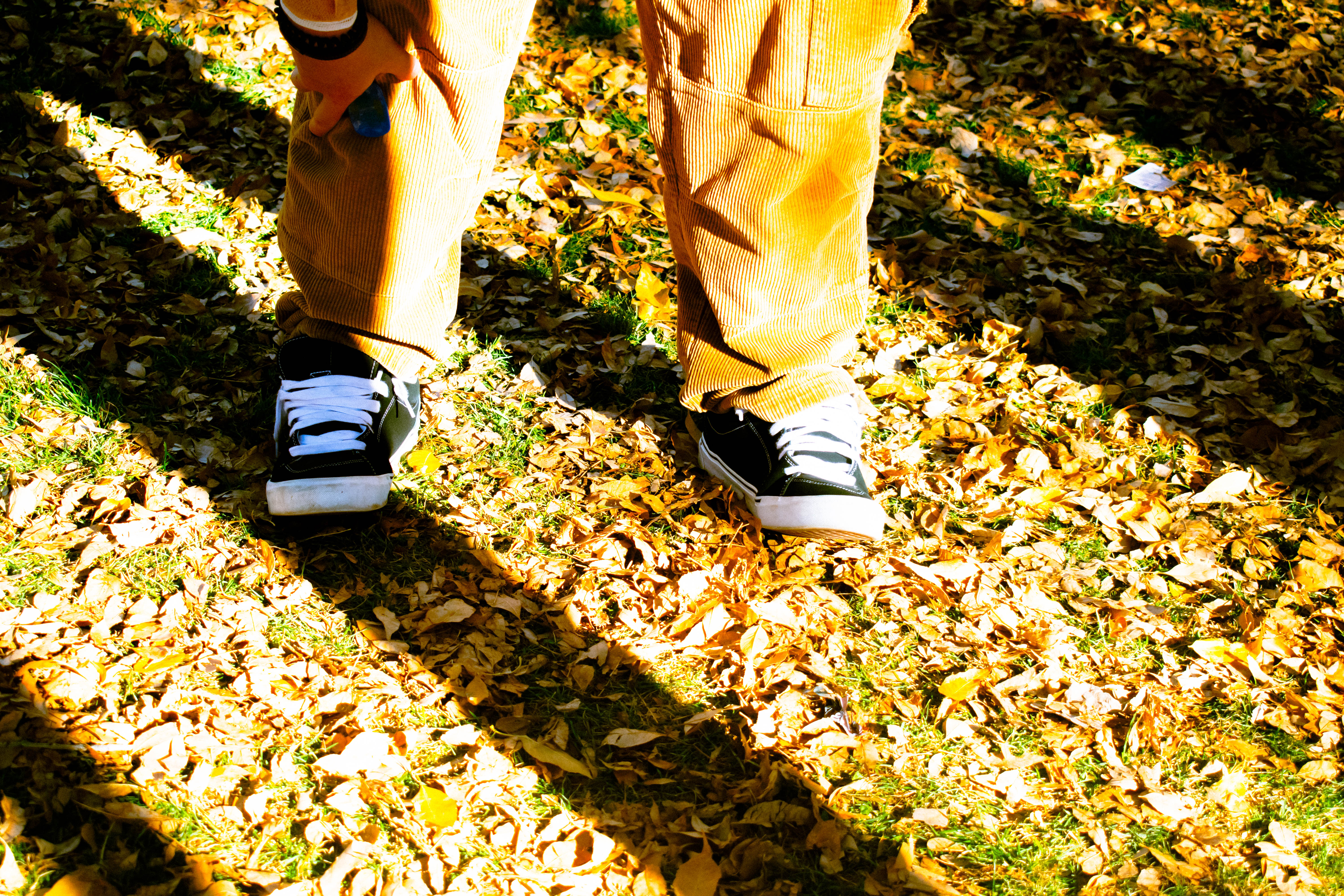 this is a photo of black and white vans and khaki curduroy pants in bright fall leaves